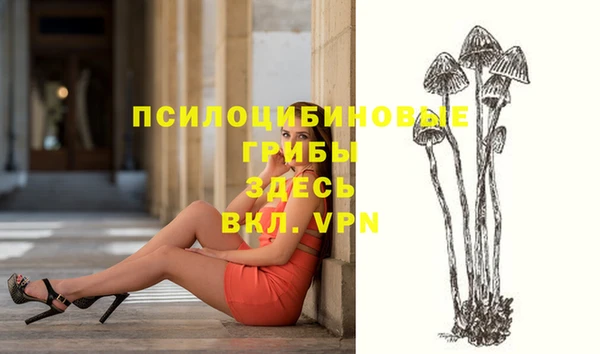 мескалин Алексин