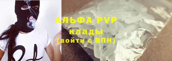 твердый Алзамай