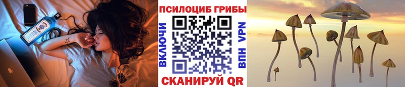площадка клад  Лихославль  Псилоцибиновые грибы мицелий 